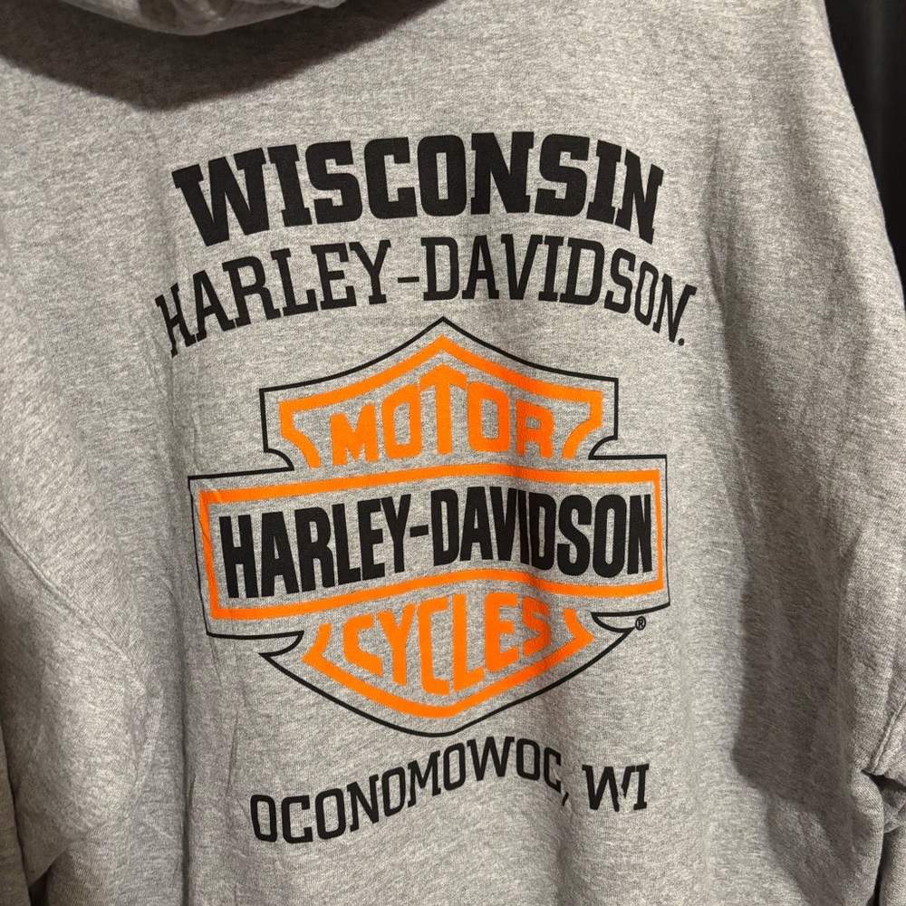 Harley-Davidson Men's XL Light Gray Graphic Hoodie Pullover Oconomowoc, WI - Picture 5 of 7